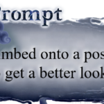 She climbed onto a post box to get a better look