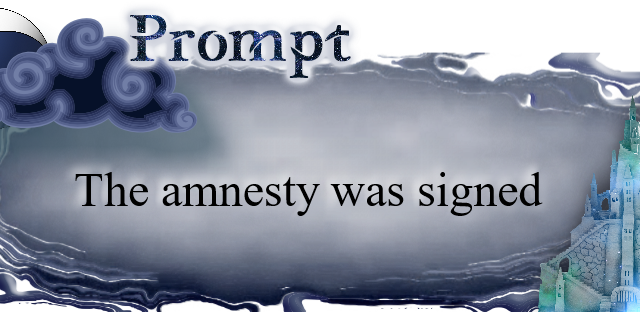 The amnesty was signed