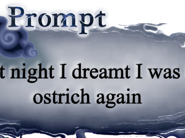 Last night I dreamt I was an ostrich again