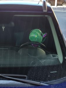 Dragon ready to hit the road